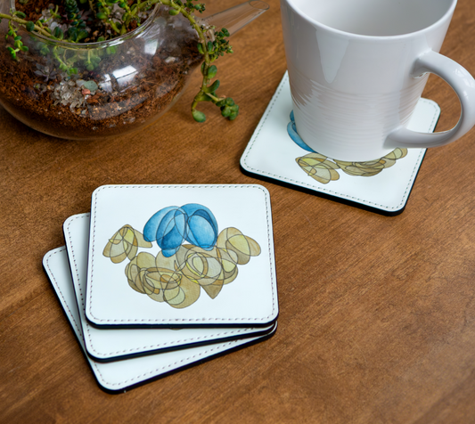 Robin's Nest Coaster